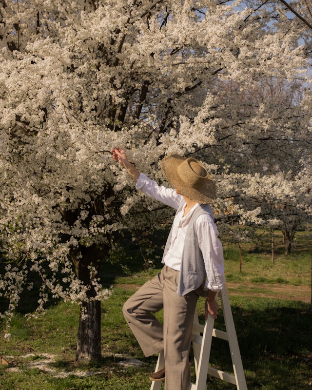 cottagecore whitle flowers man picking flowers on ladder